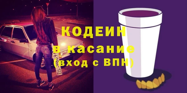 индика Алексин