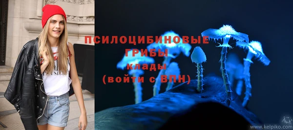 индика Алексин