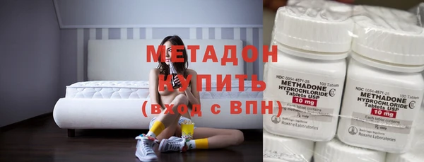 индика Алексин