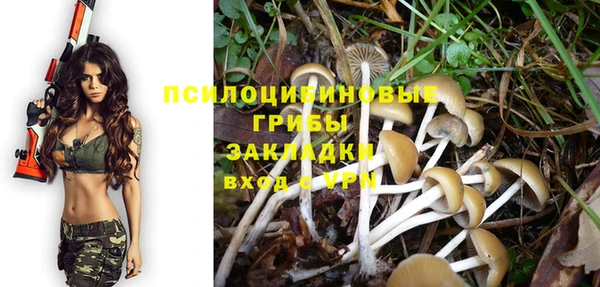 мдпв Сафоново