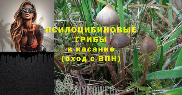 MESCALINE Алзамай