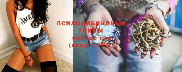 индика Алексин
